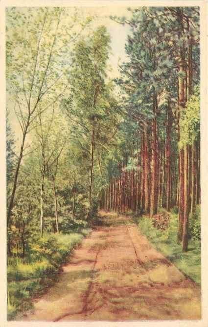301-253-013 Nunspeet, Verzenden, Voor 1920, Gelderland