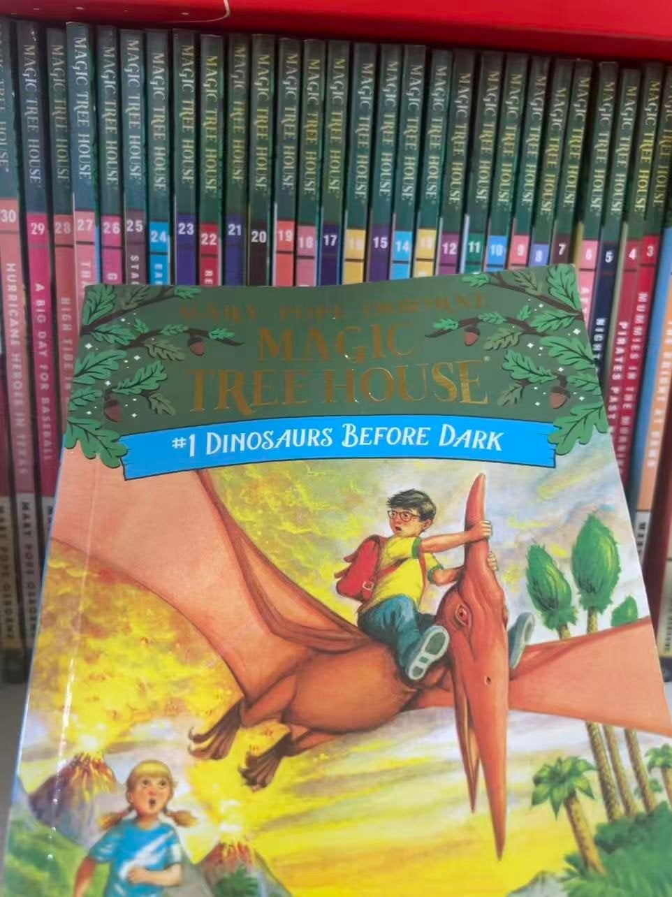 Mary Pope Osborne - MAGIC TREE HOUSE 31books, Ophalen of Verzenden, Zo goed als nieuw, Mary Pope Osborne, Fictie algemeen