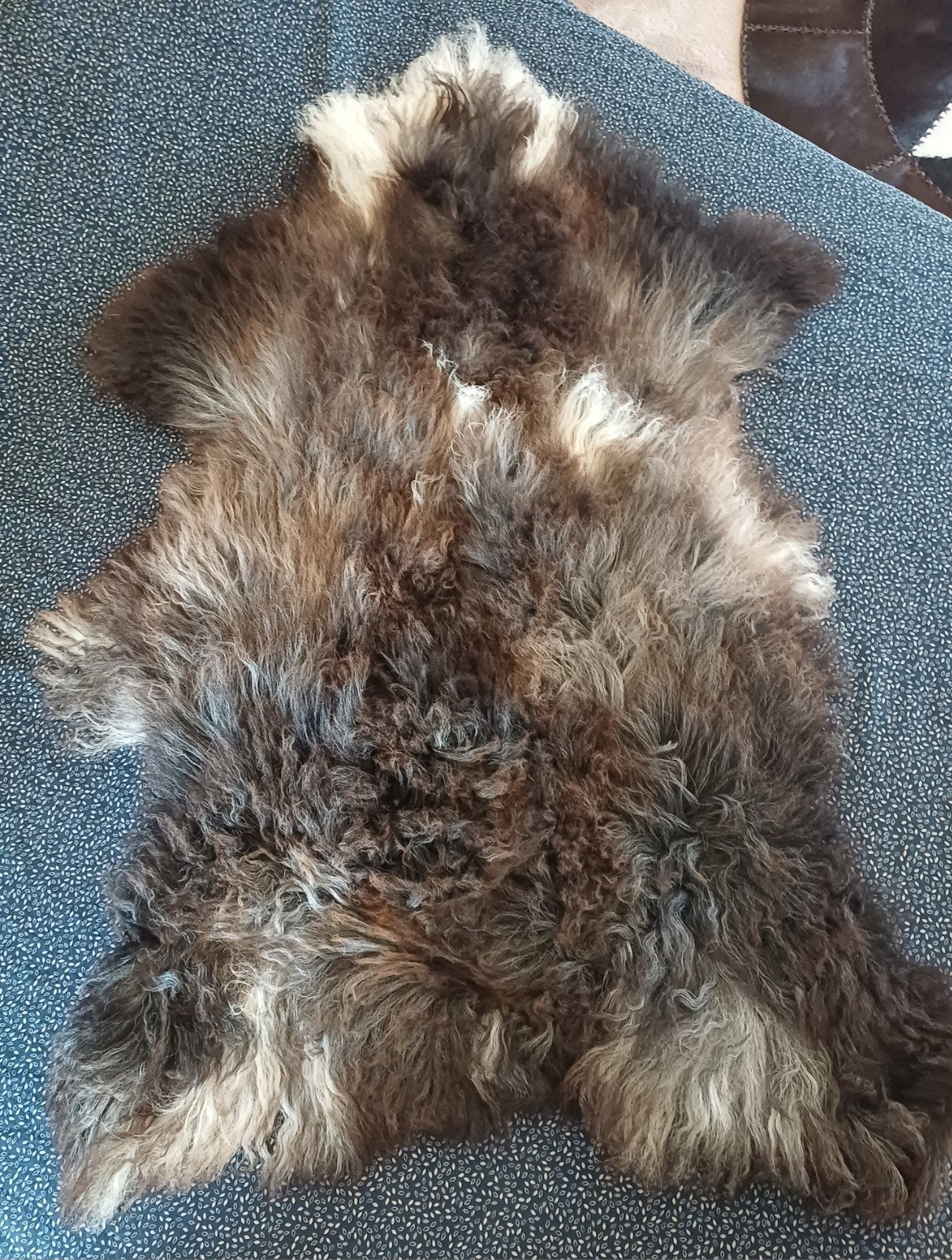 Unieke Grote Langharige Schapenvacht- nieuw, 100 tot 150 cm, Grijs, Nieuw, 50 tot 100 cm