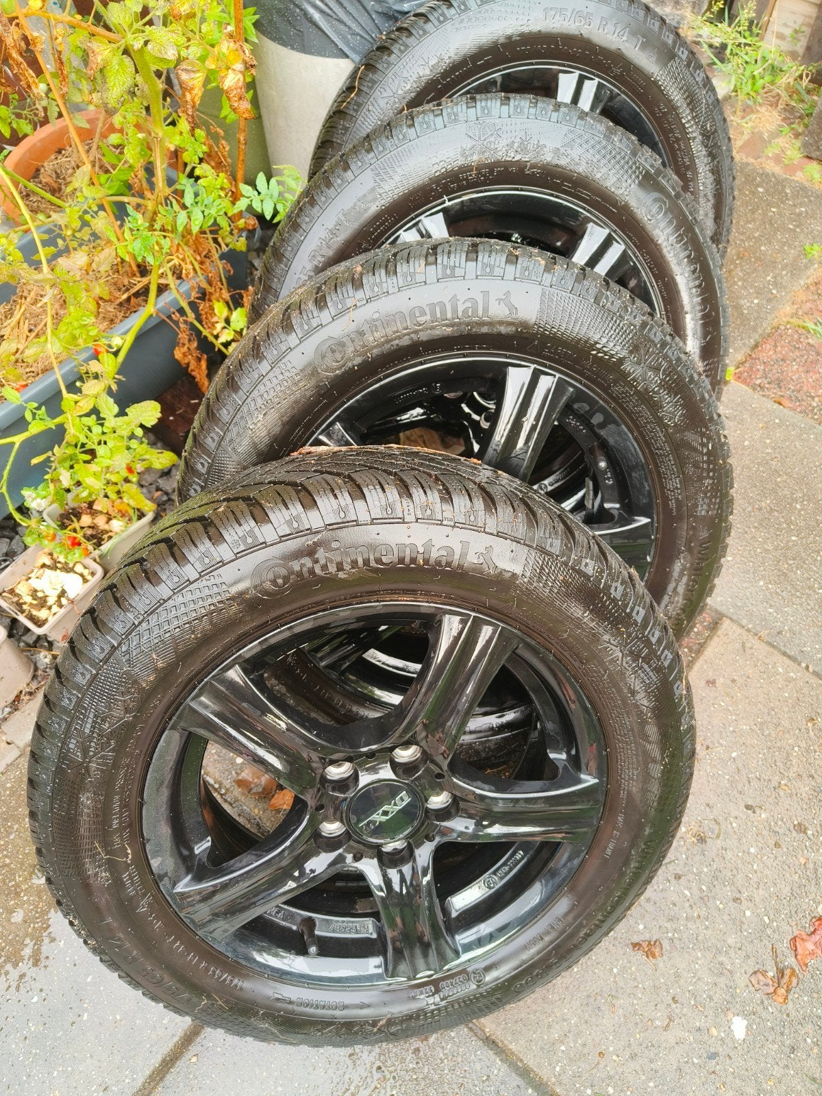 winterbanden op velg Ibiza 2010, Auto-onderdelen, Banden en Velgen, Ophalen, 14 inch, Gebruikt, 175 mm