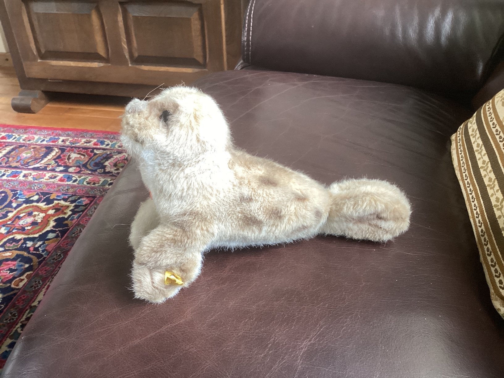 Steiff zeehondje Robby 30 cm, Ophalen of Verzenden, Overige typen