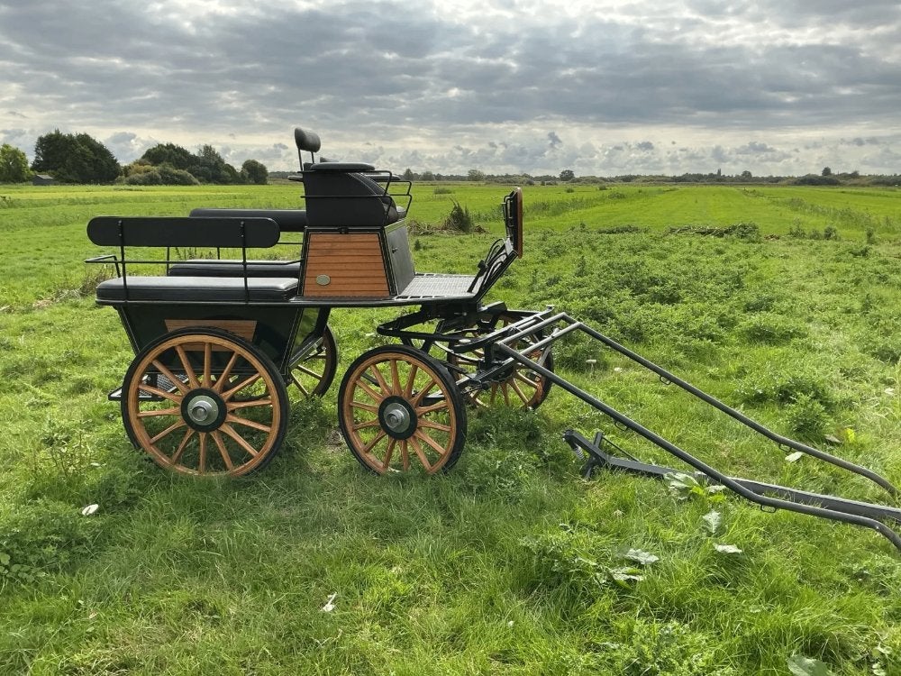 Wijkmans Elshout rijtuig, Zo goed als nieuw, Paard