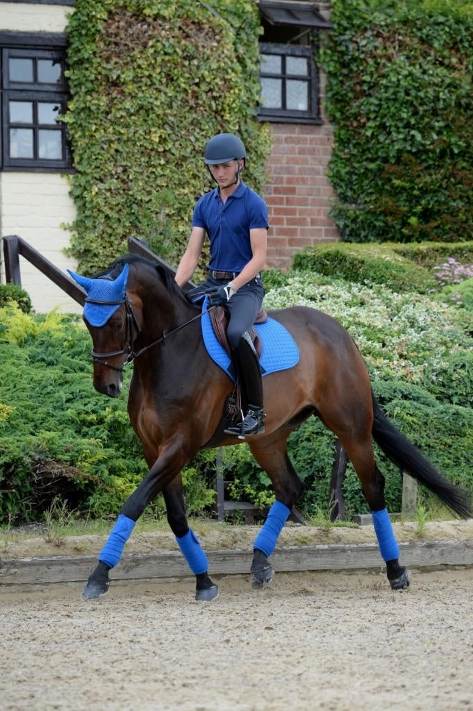 Weatherbeeta Prime Zadeldek Royal Blue, Full VZH en Spring, Overige merken, Zadeldekje, Nieuw, Ophalen of Verzenden