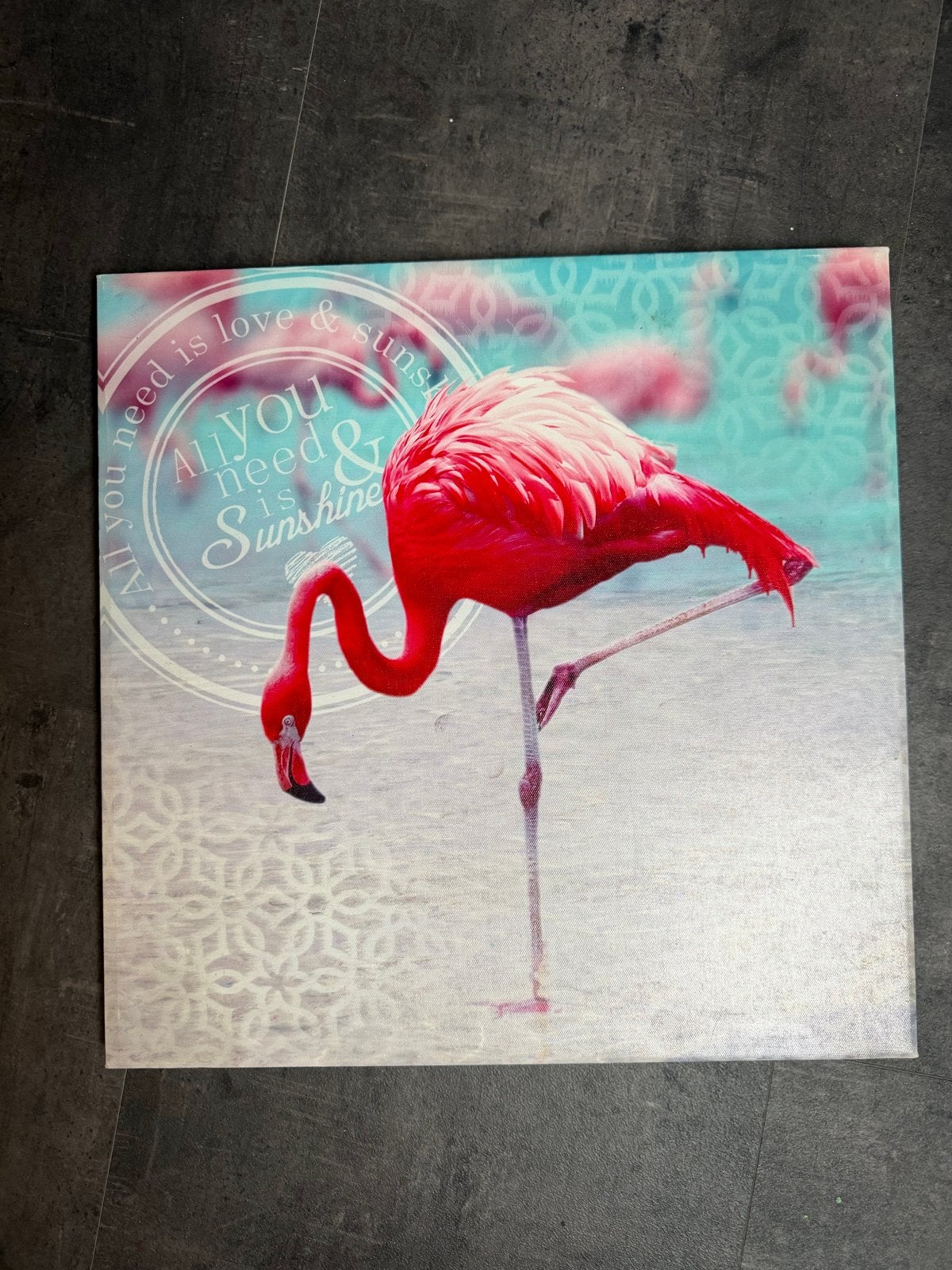 Nieuw Magneetbord met Flamingo Design, Ophalen, Metaal, Meerkleurig, Nieuw