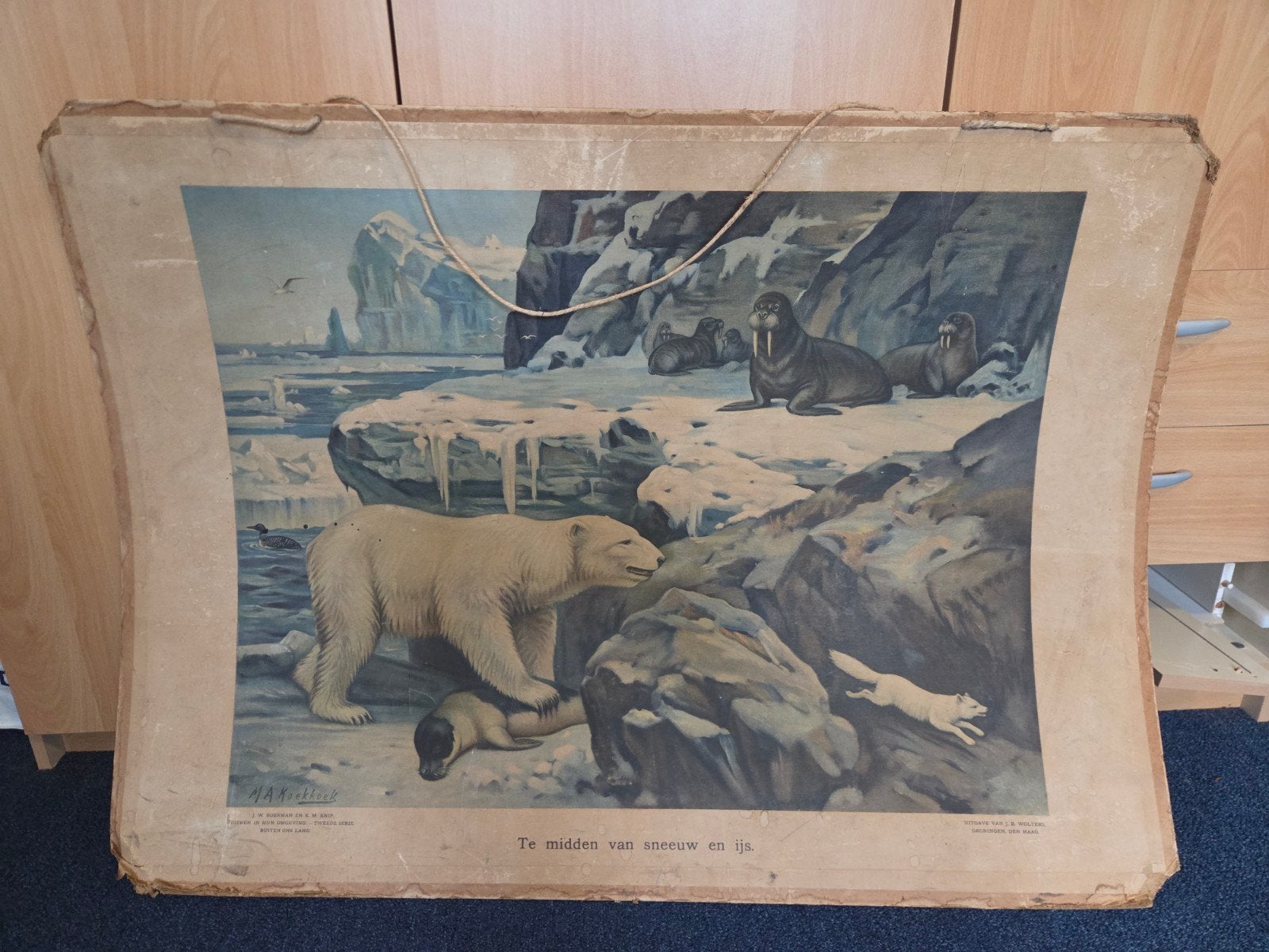 Vintage Schoolplaat: Te midden van sneeuw en ijs (Wolters), Antiek en Kunst, Ophalen