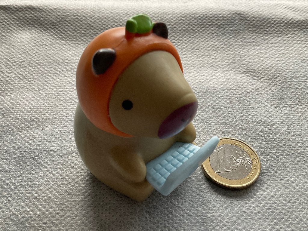 Capybara met Wortelmuts achter Laptop, Ophalen, Zo goed als nieuw