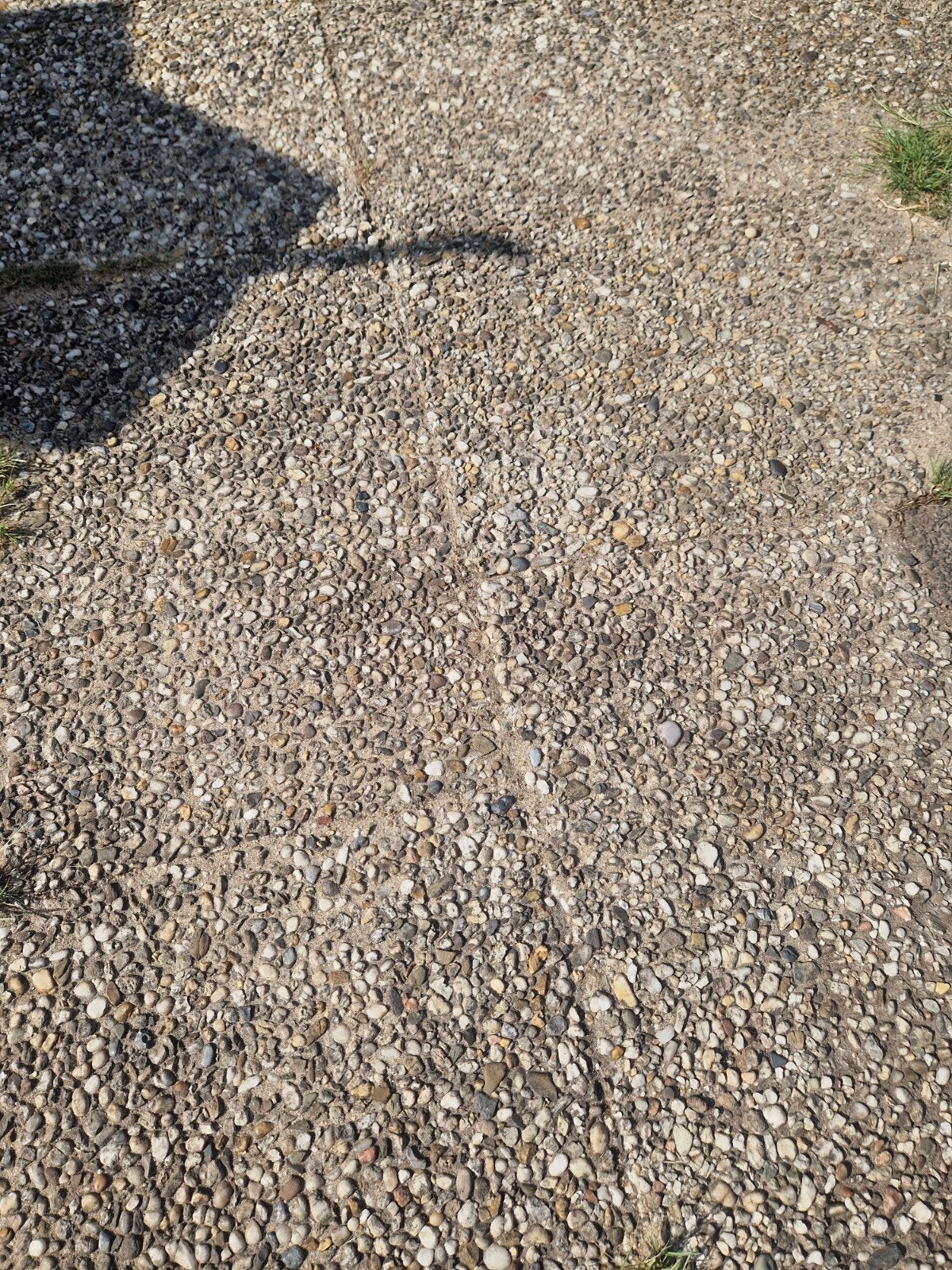 Grindtegels 60x40 cm - 20 stuks, Ophalen of Verzenden, Gebruikt, Beton, Terrastegels