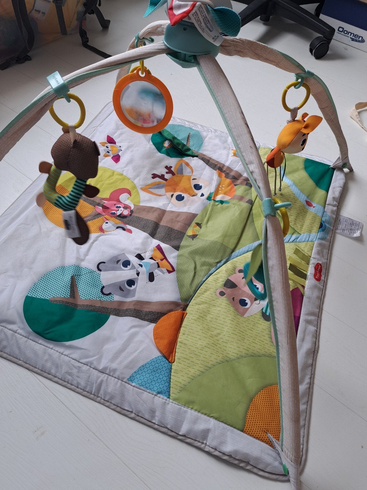 TinyLove Babygym, Ophalen, Zo goed als nieuw, Babygym