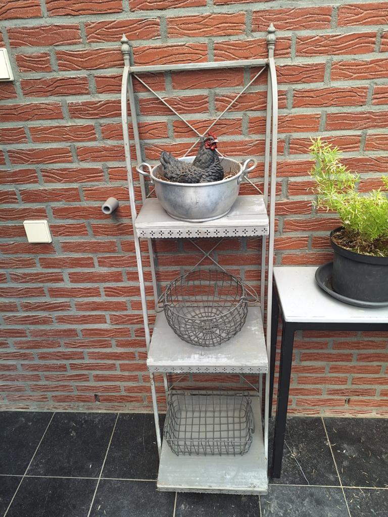 planten/decoratie/rek/tuin/terras/kruiden/verzamelen/planten, Ophalen