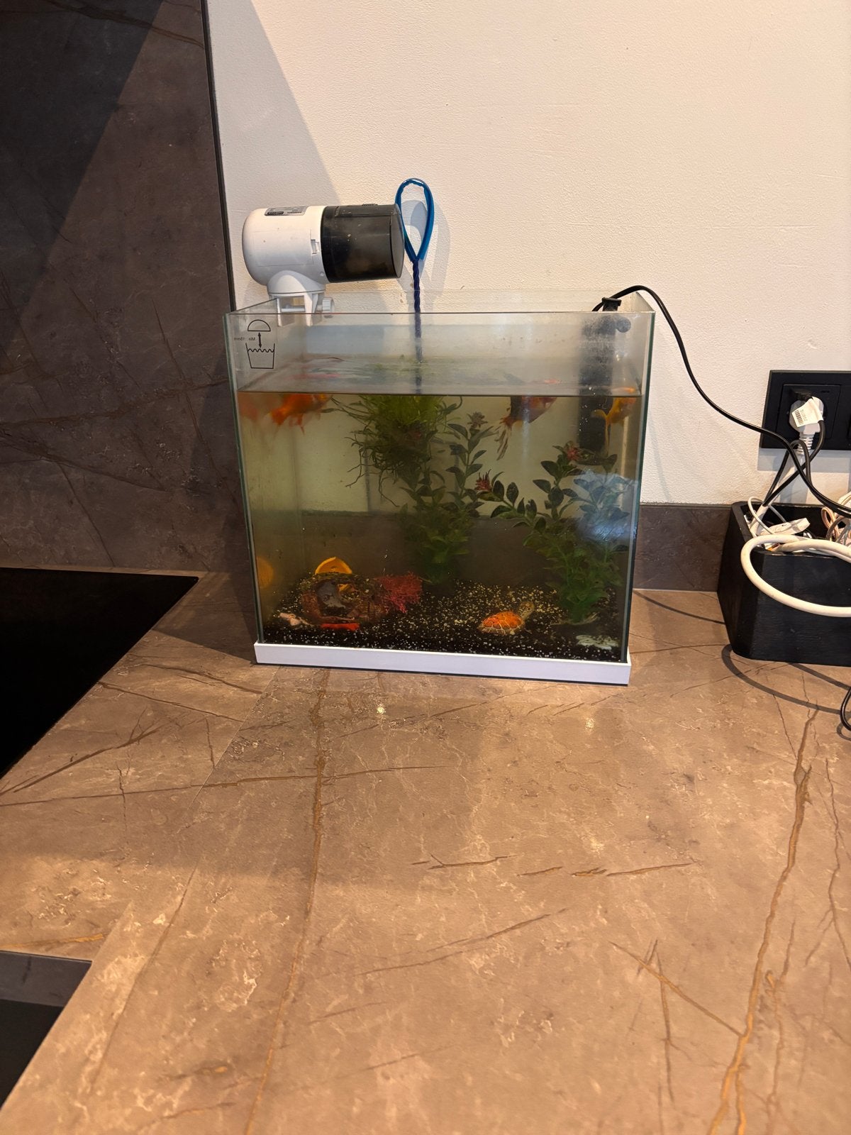 Aquarium, Dieren en Toebehoren, Ophalen