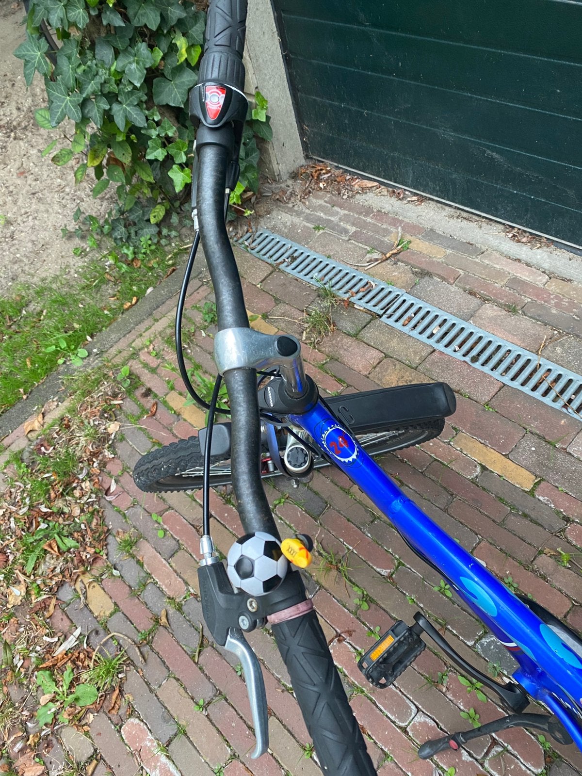 Foto 5 van Batavus Snake 24 inch