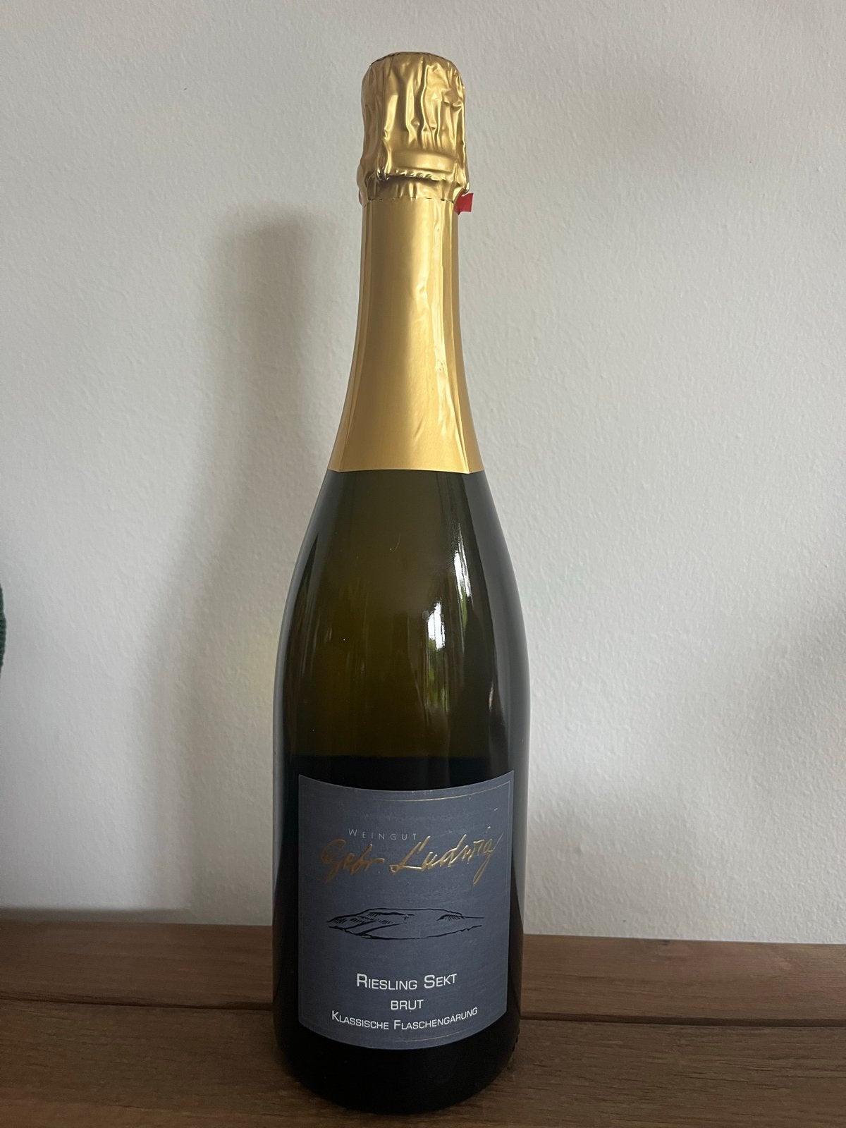 Weingut Gebr. Ludwig Riesling Sekt Brut 2016, Ophalen, Nieuw, Overige gebieden, Witte wijn