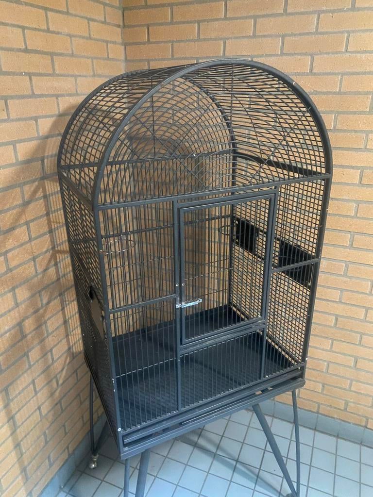 papegaaienkooi, Dieren en Toebehoren, Ophalen, Gebruikt, Metaal, Vogelkooi