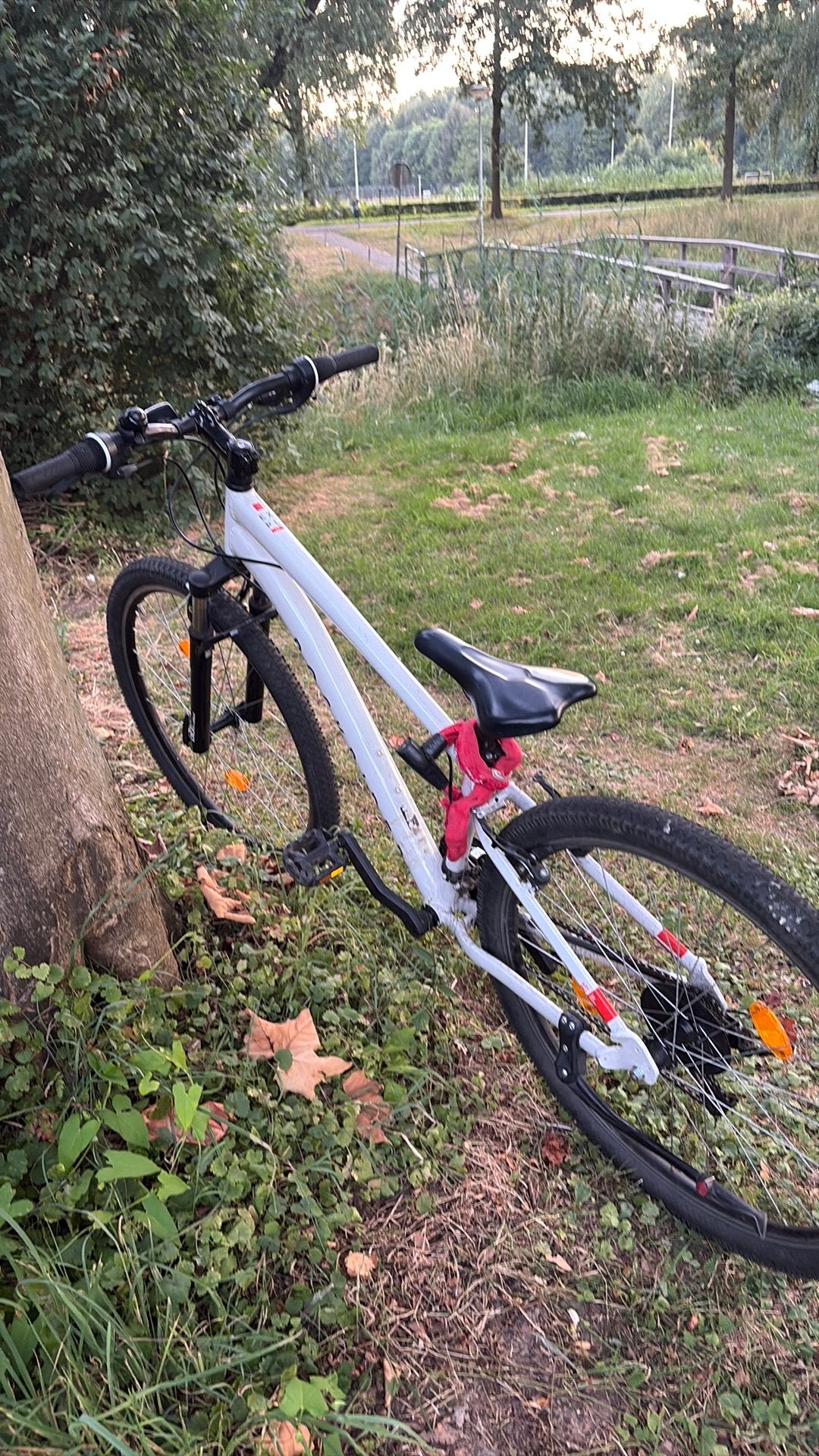 Mountainbike, Fietsen en Brommers, Fietsen | Crossfietsen en BMX, Staal, Velgrem, 20 tot 24 inch, Ophalen of Verzenden