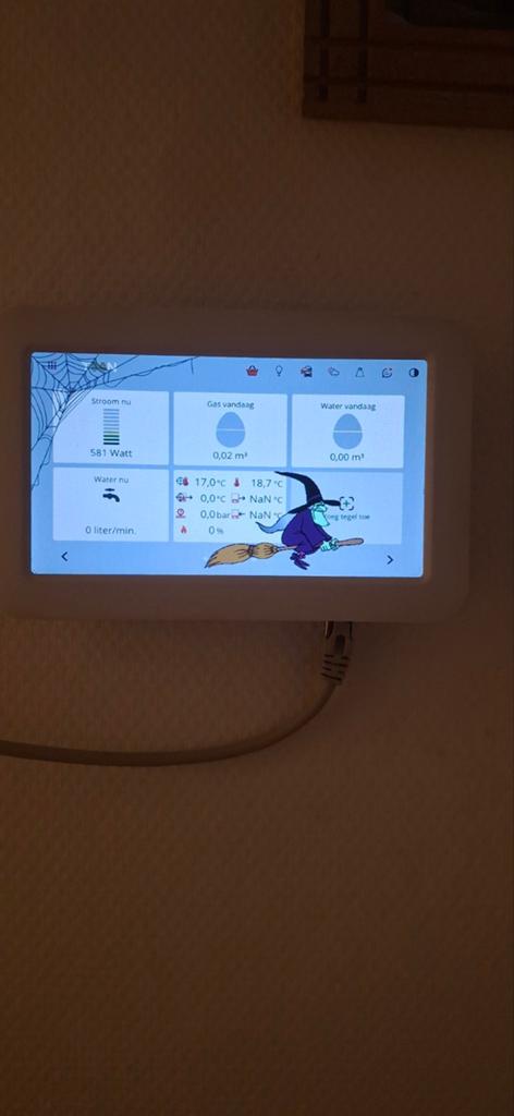 Rooted Toon Slimme thermostaat, Ophalen of Verzenden