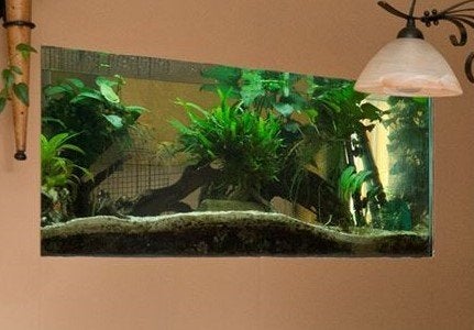 Aquarium (leeg), Ophalen, Inclusief deksel, Gebruikt, Leeg aquarium