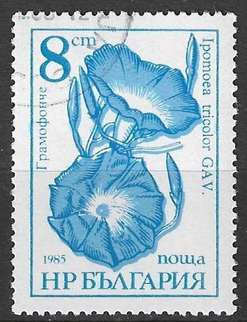 Bulgarije 1986 - Yvert 3024 - Ipomoea tricolor - 8 s. (ST), Verzenden, Bulgarije, Gestempeld