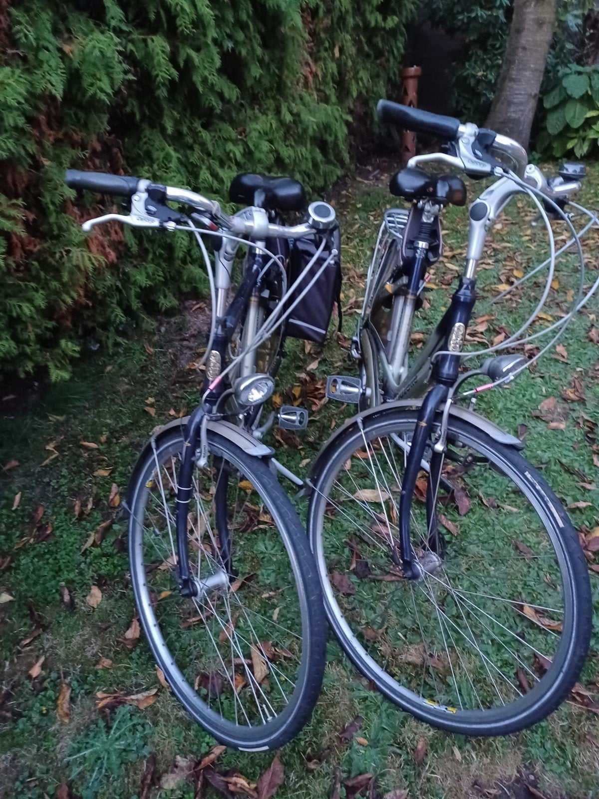 Gazelle Geneve Dames- en herenfiets - Goede Staat, Ophalen, Velgrem, Versnellingen, Gazelle