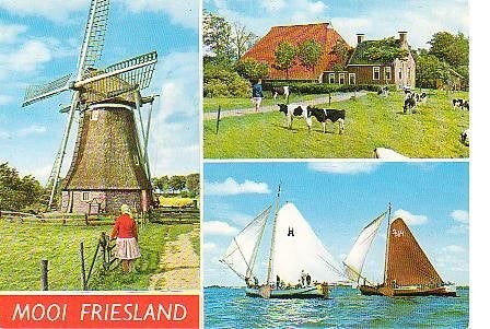 Ansichtkaart 	Friesland	3-luik	Molen	Zeilen, Verzenden, 1980 tot heden, Gelopen, Friesland