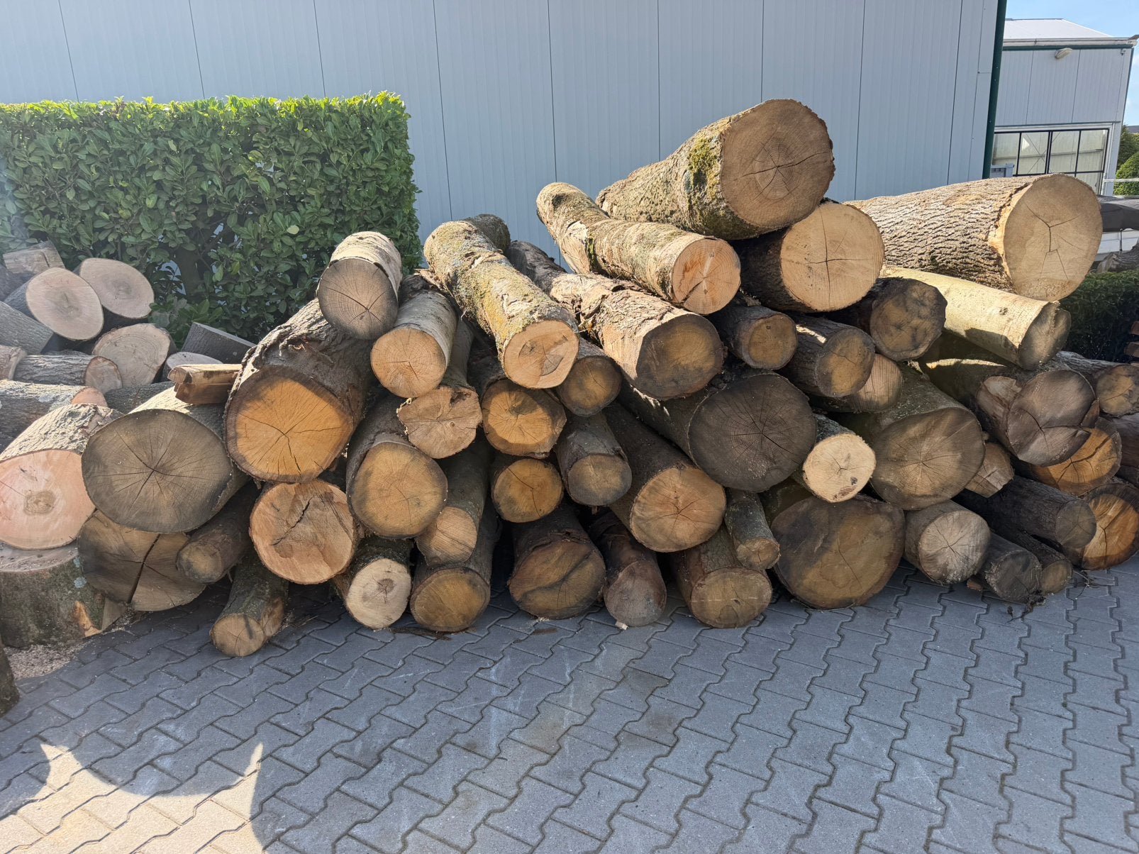 Dikke vracht 4,8 kuub eiken essen haardhout thuisbezorgd, 3 tot 6 m³, Verzenden, Essenhout, Blokken