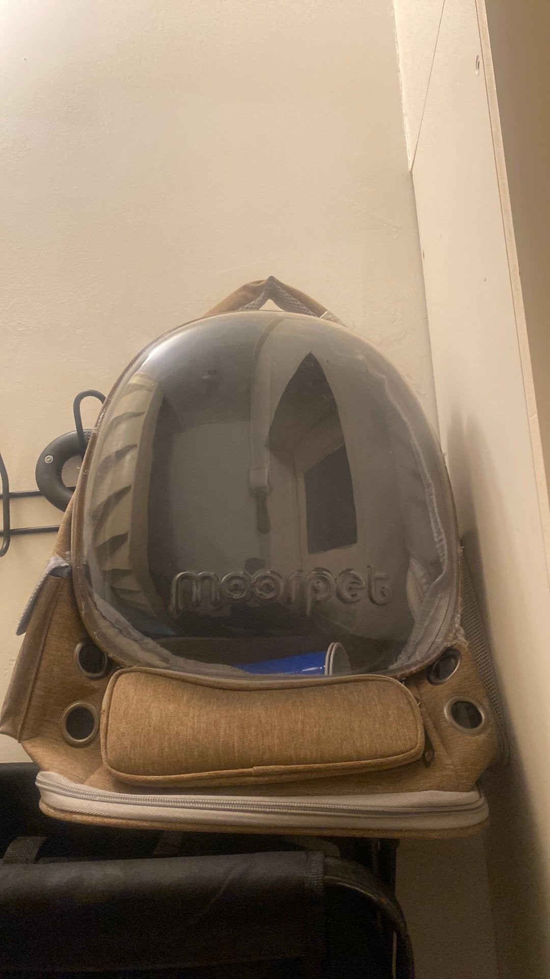 Cat Bag New, Ophalen, Zo goed als nieuw