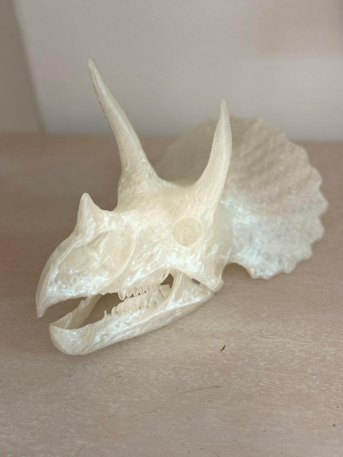 Triceratops schedel replica - 3D geprint, Ophalen of Verzenden, Nieuw