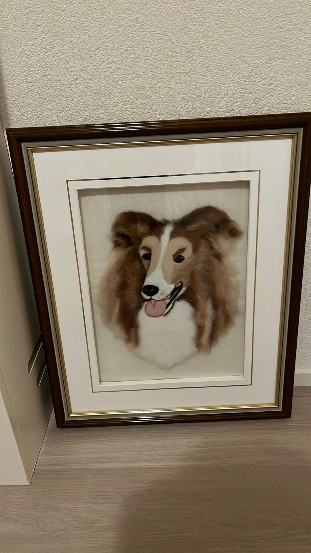 Sheltie, Ophalen of Verzenden, Zo goed als nieuw