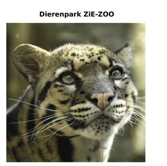 toegangsticket dierenpark zie-zoo /  kaartje dierentuin, Eén persoon, Ticket of Toegangskaart