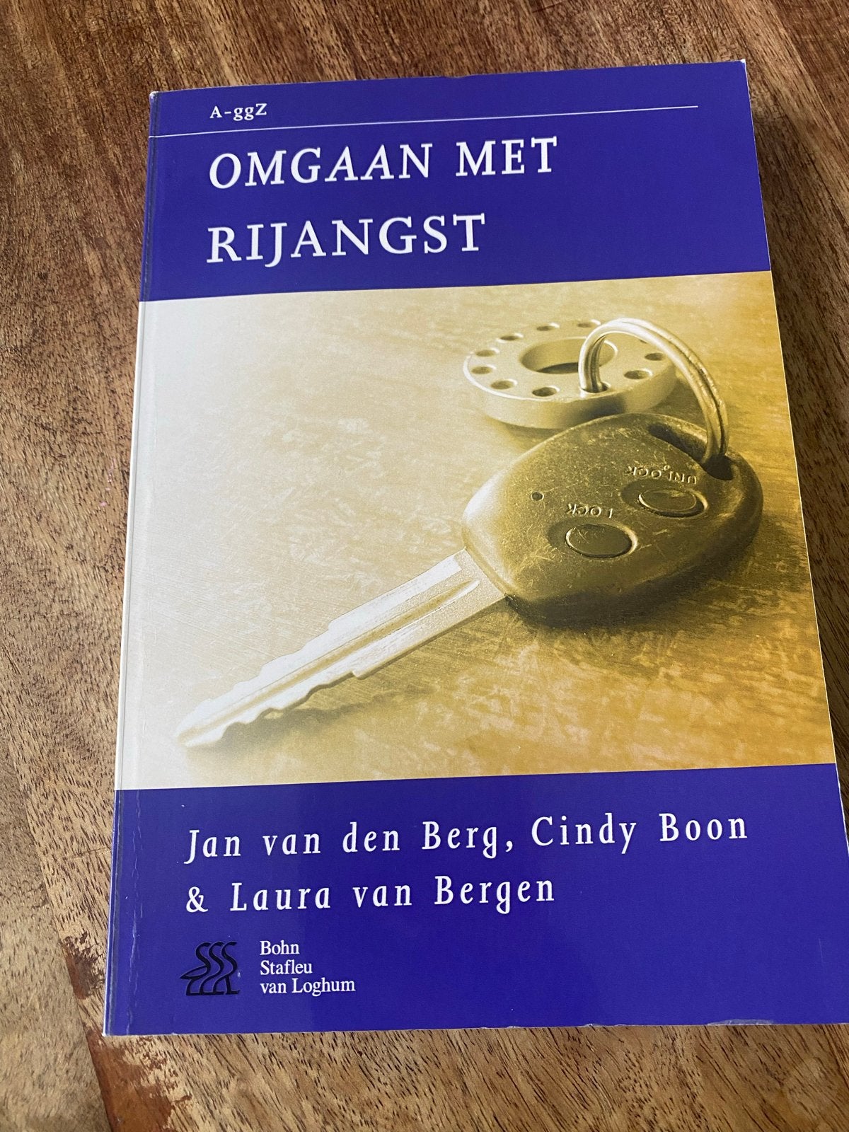 C. Boon - Omgaan met rijangst, Ophalen of Verzenden, Zo goed als nieuw, C. Boon; L. van Bergen; J. van den Berg