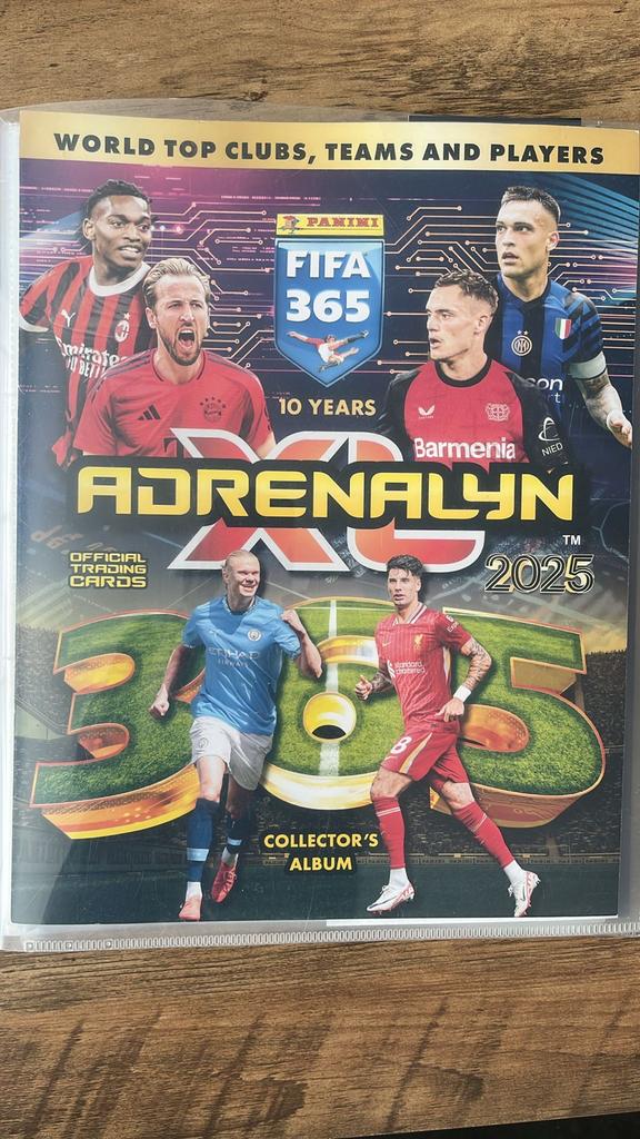 FIFA 365 Adrenalyn XL Voetbalkaarten Collectie, Ophalen of Verzenden, Zo goed als nieuw, Meerdere kaarten