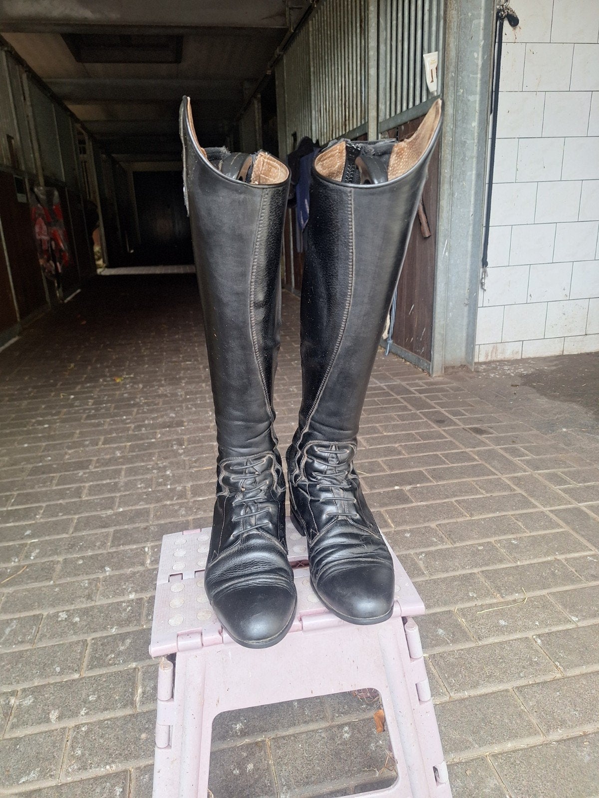 cavallo rijlaarzen maat 39, Ophalen of Verzenden, Gebruikt, Dressuur, Schoeisel