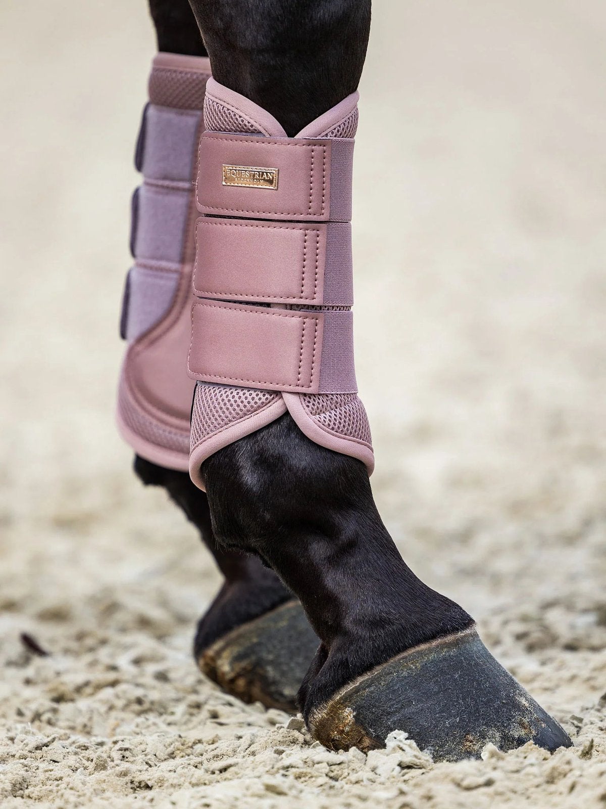 Bied mee op Equestrian Stockholm Peesbeschermers en meer!, Peesbeschermers, Verzenden, Nieuw