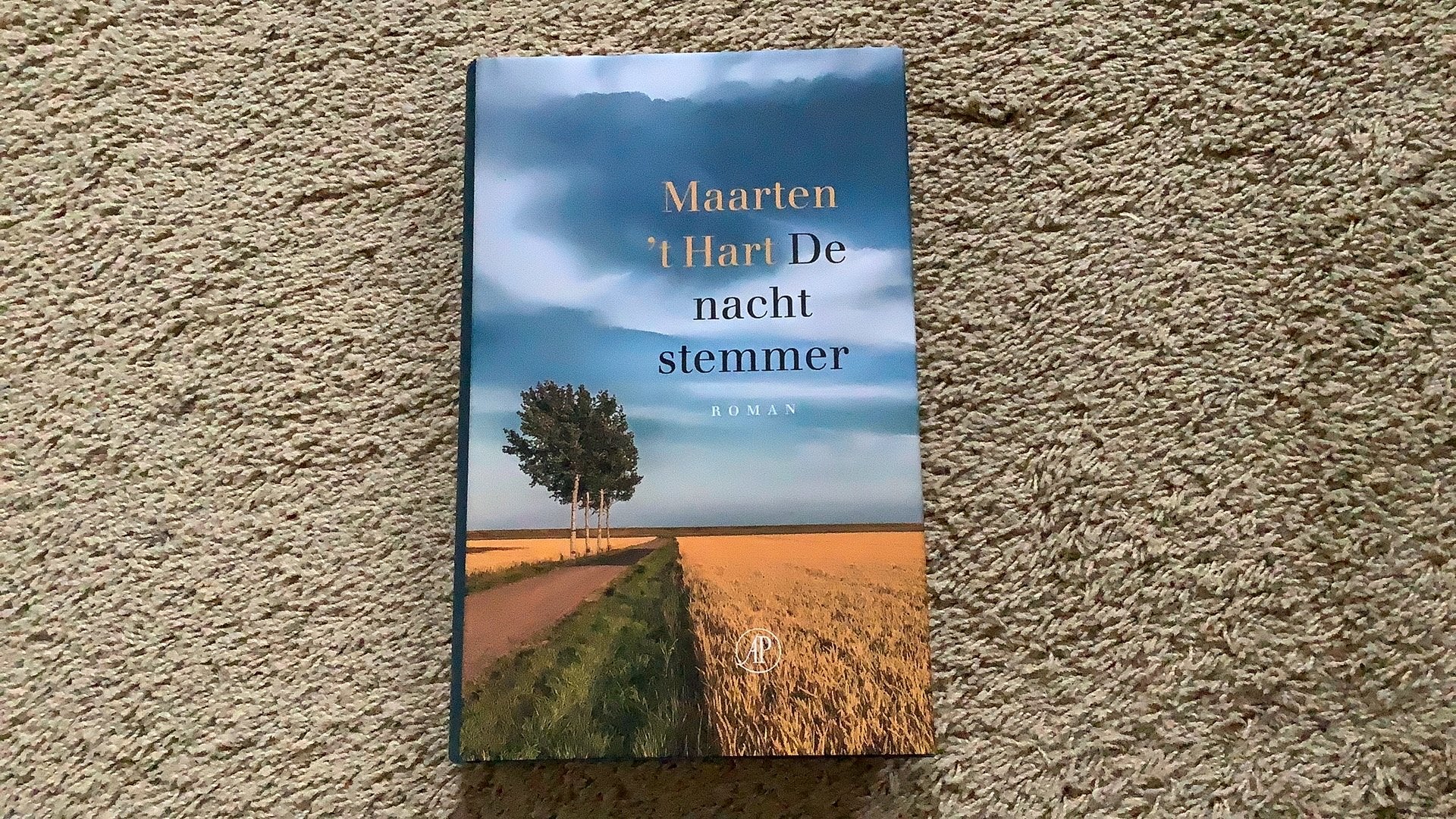 Maarten 't Hart - De nachtstemmer, Ophalen of Verzenden, Zo goed als nieuw, Nederland, Maarten 't Hart