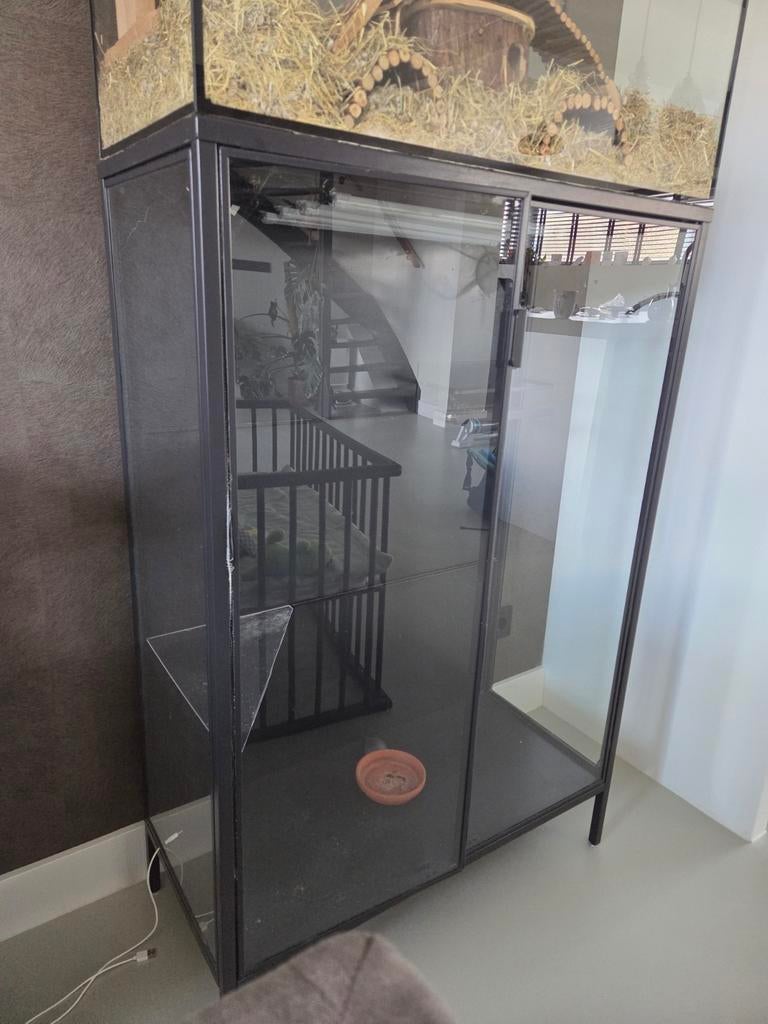 IKEA plantenkast met ingebouwde groeilampen, Ophalen, Modern, Industrieel, 50 tot 100 cm, Glas