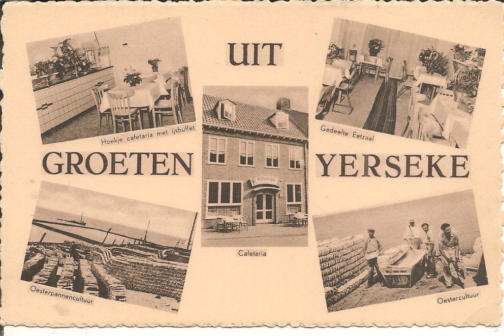 Ansichtkaart Uit Groeten Yerseke - Oestercultuur, Verzamelen, Ophalen of Verzenden, 1940 tot 1960, Ongelopen, Zeeland