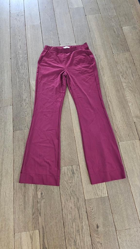 Studio Anneloes Flair long bonded maat XL merlot 11963, Studio Anneloes, Maat 46/48 (XL) of groter, Ophalen of Verzenden, Zo goed als nieuw
