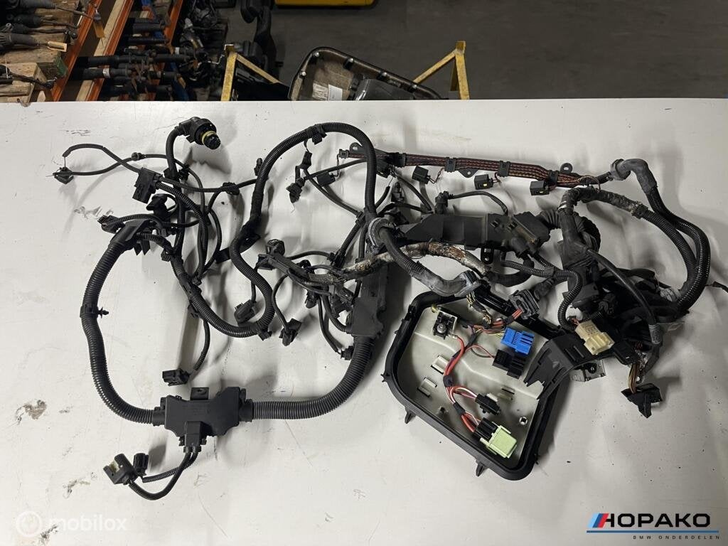 Motorkabelboom BMW 535D N57D30B F10 F11 etc - 759045906, Gebruikt, Einsteinlaan 5 rijswijk, Bmw, Ophalen of Verzenden