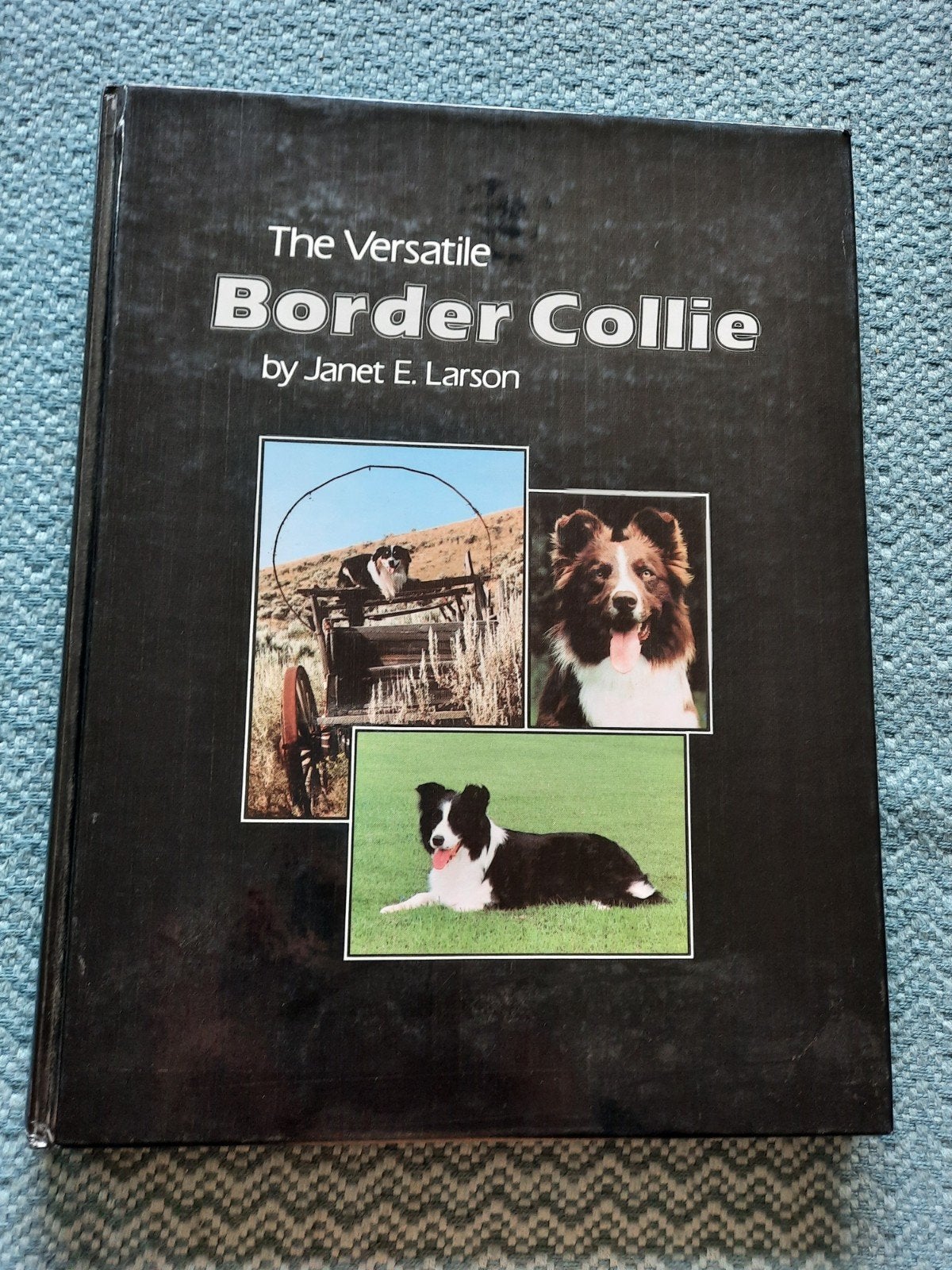 The Versatile Border Collie - Janet E. Larson (Hardcover), Ophalen of Verzenden, Gelezen, Honden, Janet E. Larson