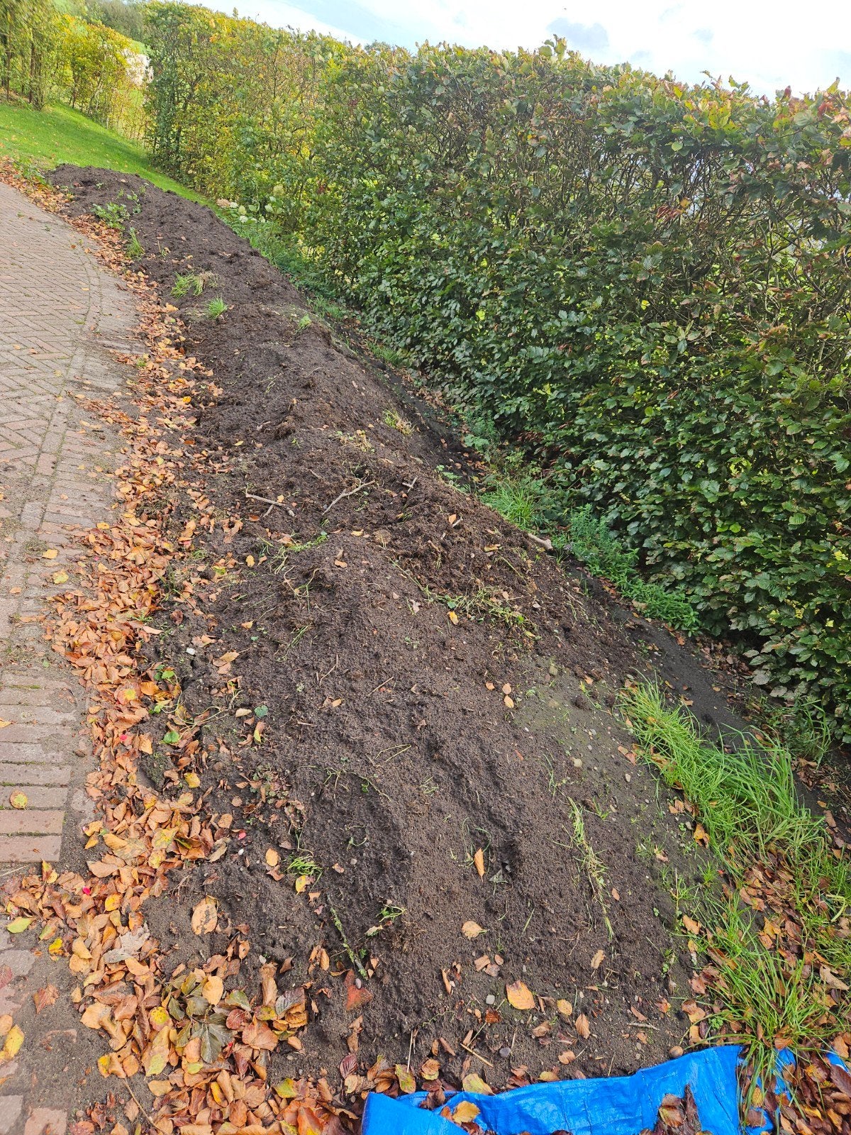 Gratis zwarte grond af te halen, Ophalen of Verzenden, Tuinaarde