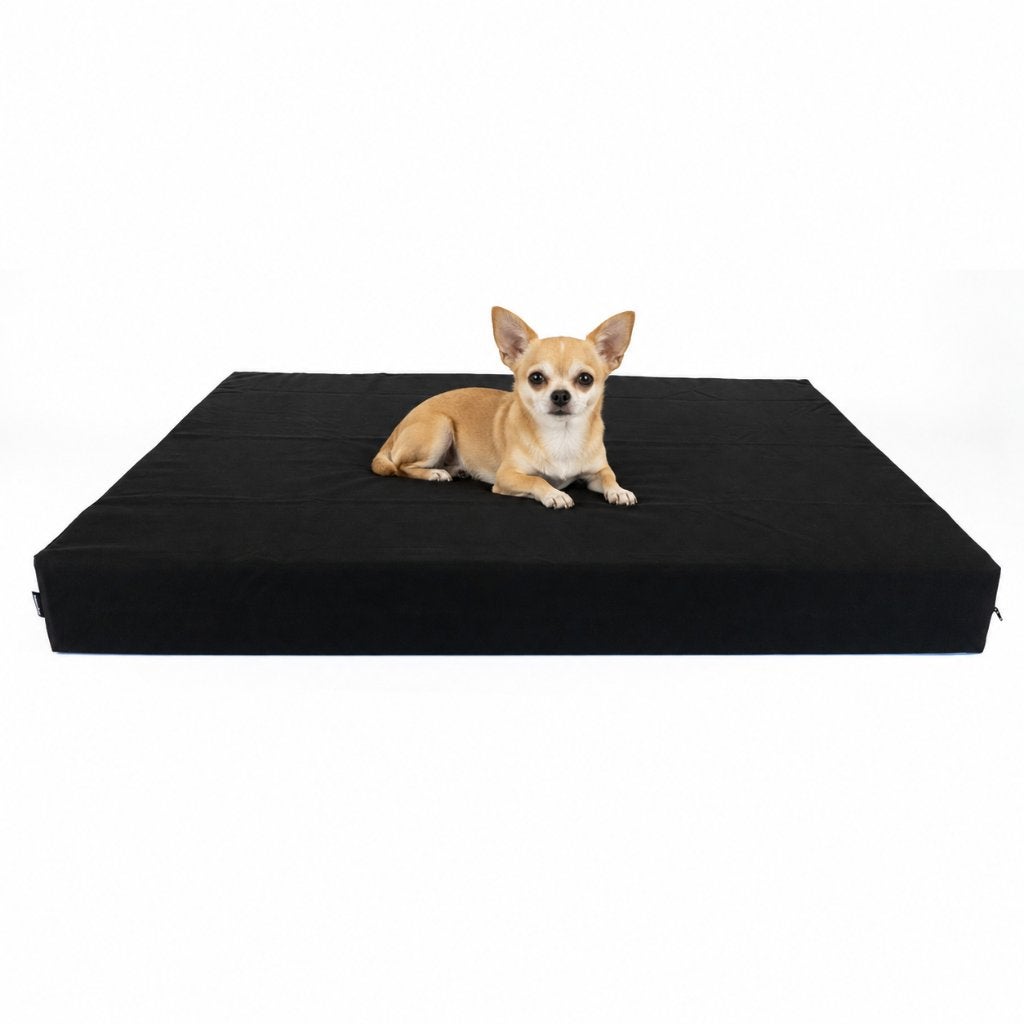 Orthopedische hondenmand maat S - Chihuahua, Jack Russell, Dieren en Toebehoren, Verzenden, Nieuw, Polyester