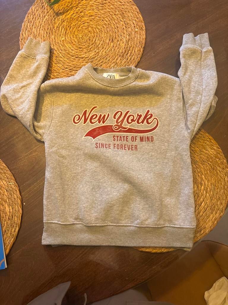 Zara grijze trui maat 134 "New York State of Mind", Ophalen of Verzenden, Zo goed als nieuw, Jongen of Meisje, Trui of Vest