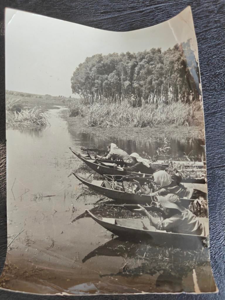 Foto vrouwelijke Vietcong strijdsters Mekong Delta, Ophalen of Verzenden, Landmacht, Nederland, Embleem of Badge