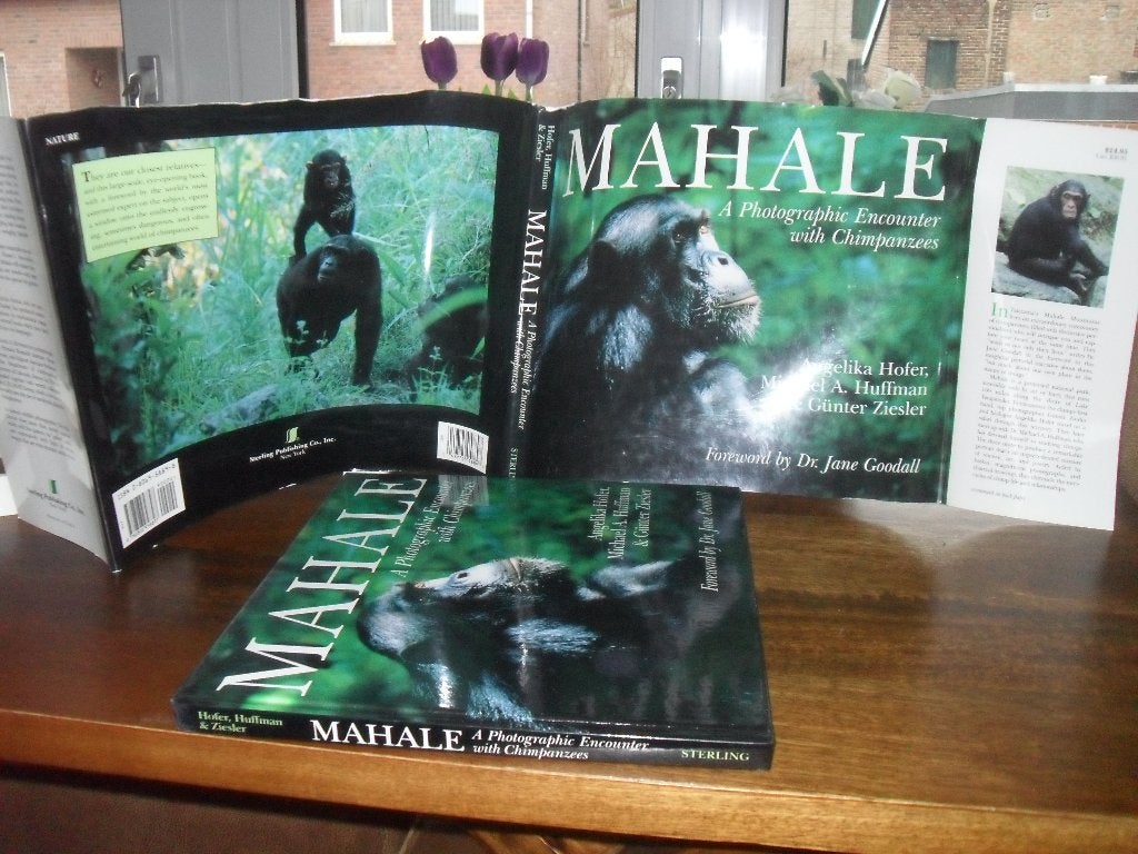 BOEK MAHALE:PHOTOGRAPHIC ENCOUNTERS WITH CHIMPANZEES., Ophalen of Verzenden, Zo goed als nieuw, Los deel, Angelika Hofer.
