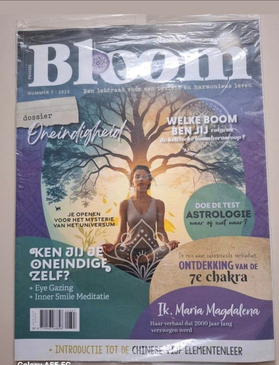 bloomtijdschriften, Boeken, Bloom, Overige typen, Ophalen of Verzenden, Zo goed als nieuw