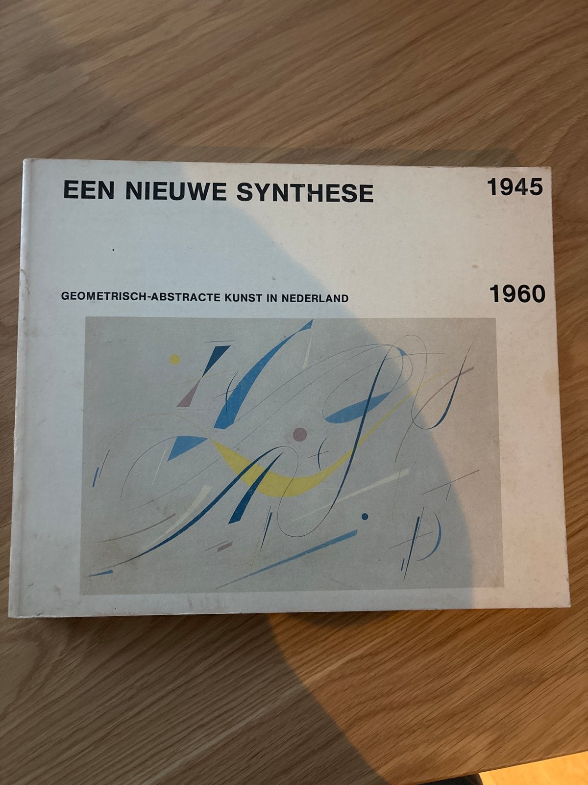 Een Nieuwe Synthese: Geometrisch-Abstracte Kunst in NL, Ophalen of Verzenden, Gelezen, Overige onderwerpen