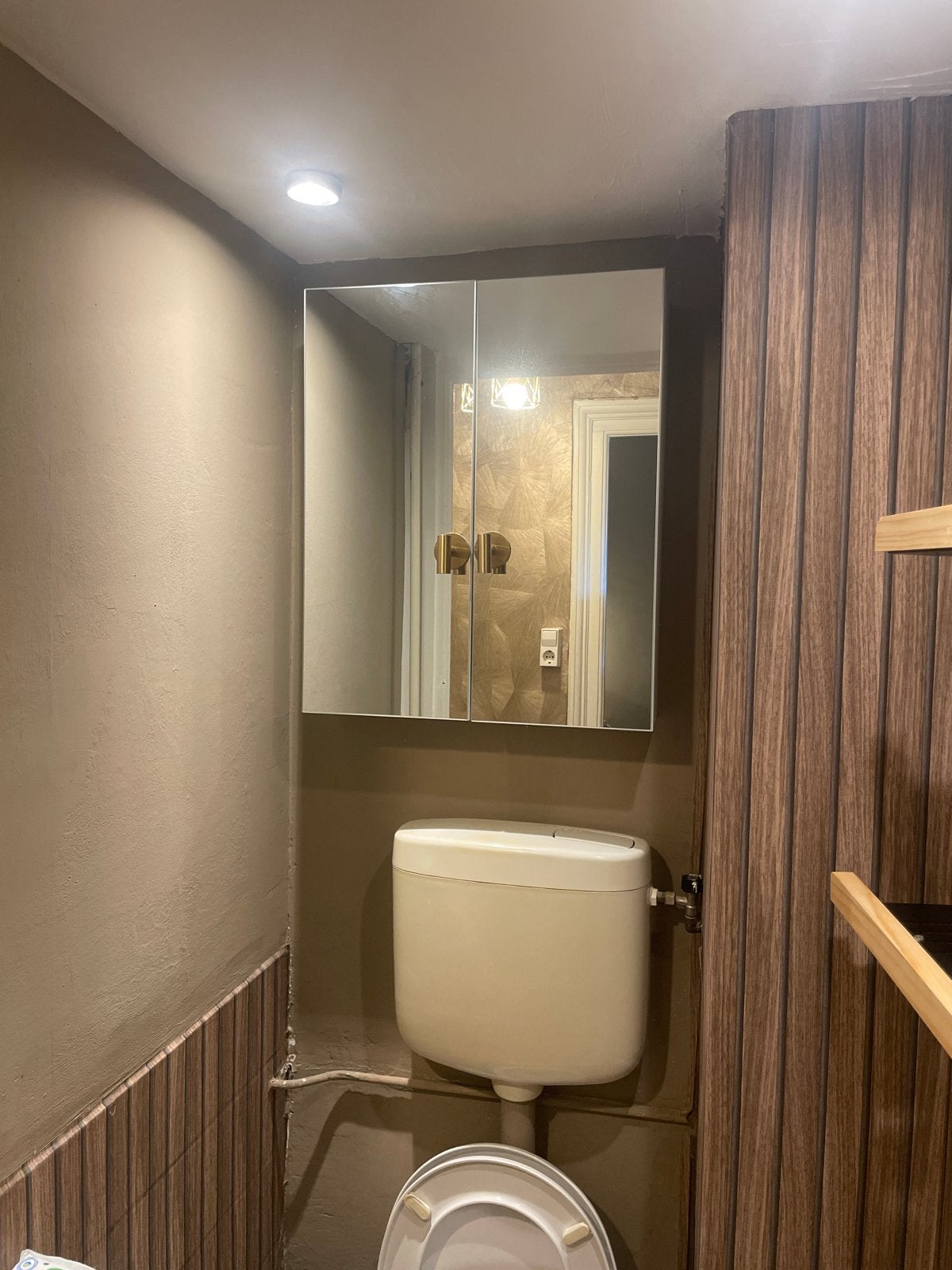 Spiegelkast voor toilet of badkamer, Ophalen, Minder dan 50 cm, Minder dan 25 cm, Minder dan 100 cm