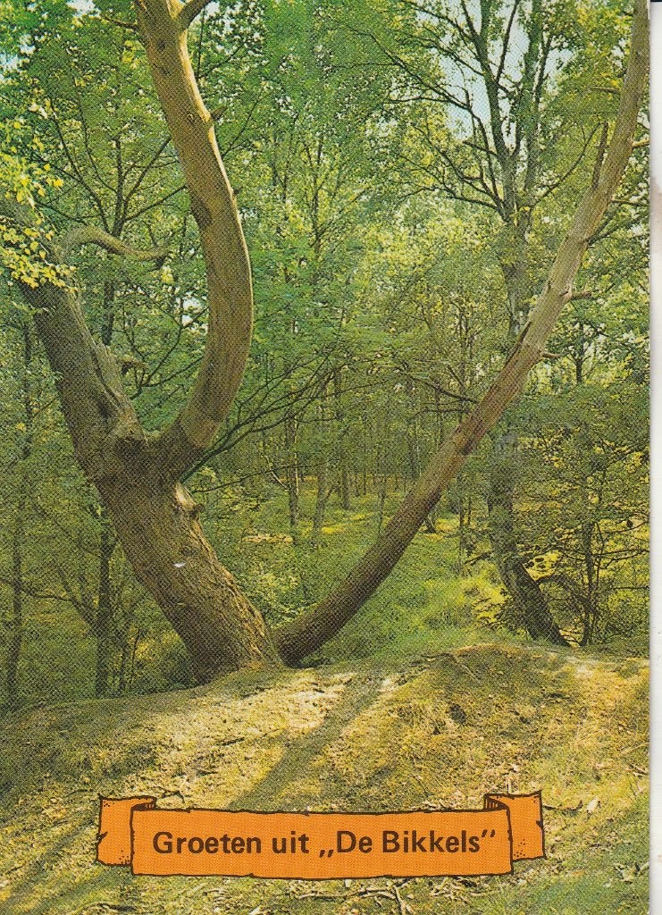 Groeten uit de Bikkels 1, Ophalen of Verzenden, 1980 tot heden, Gelopen, Noord-Brabant