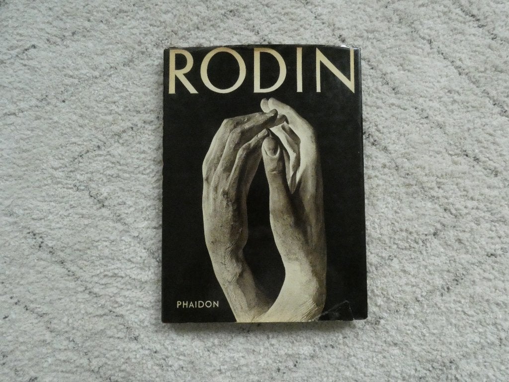 Rodin, Ophalen of Verzenden, Gelezen