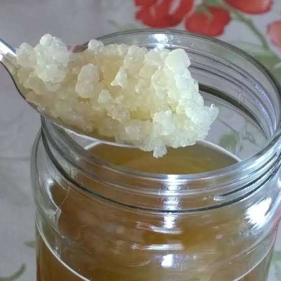 Waterkefir, Ophalen