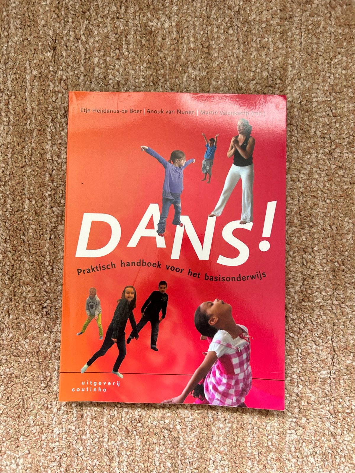 DANS! Praktisch handboek voor het basisonderwijs, Ophalen of Verzenden, Zo goed als nieuw, HBO